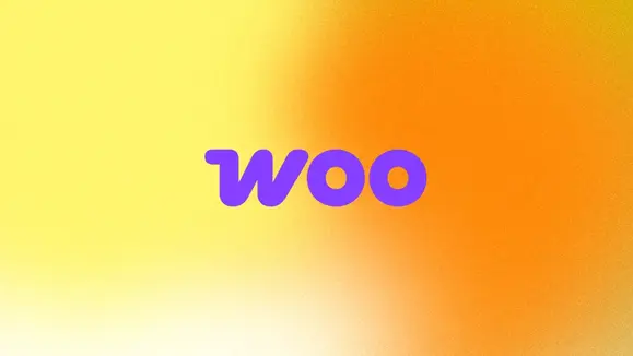 WooCommerce Plugin project visual